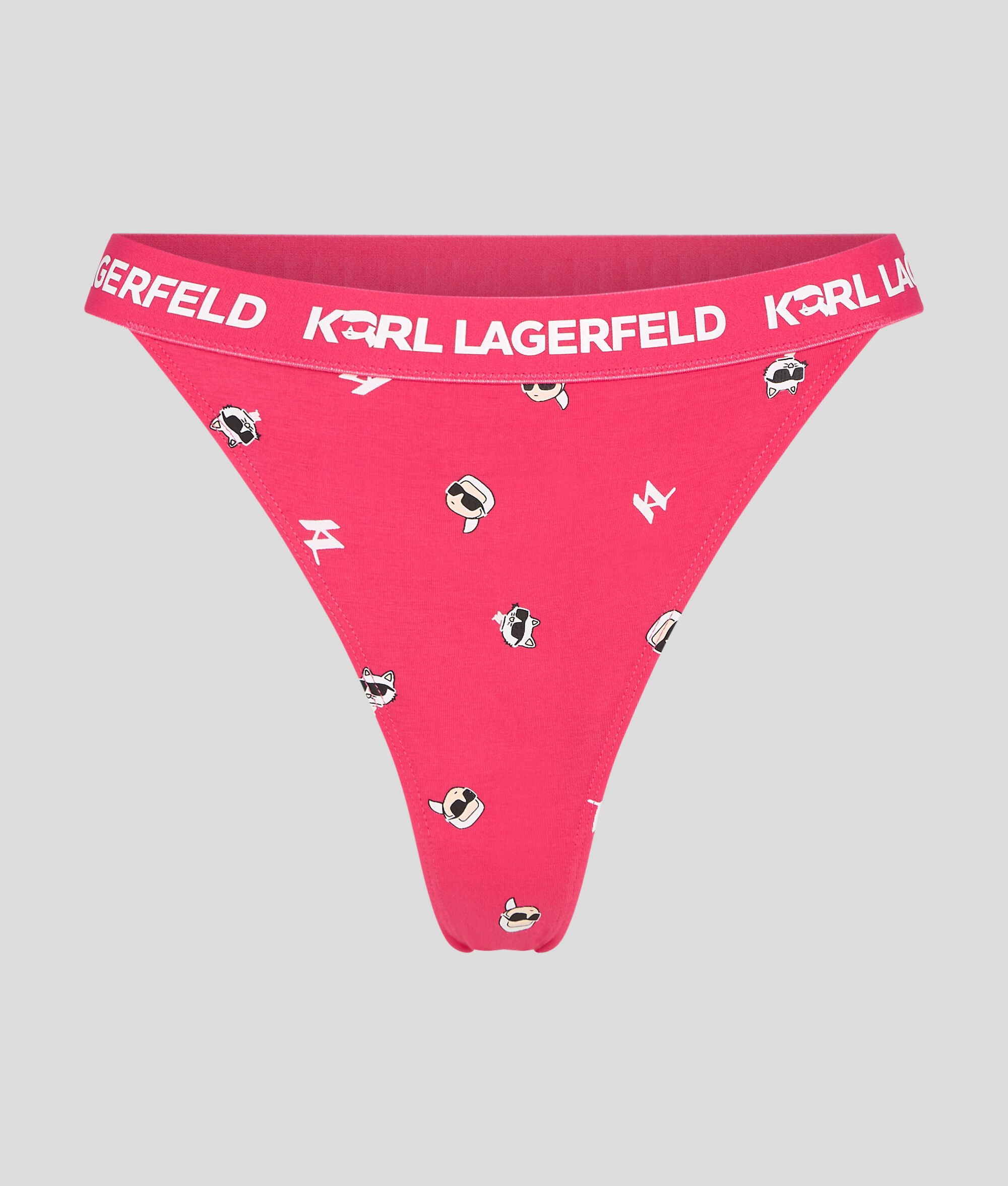 (image for) Sweet Karl Ikonik Briefs